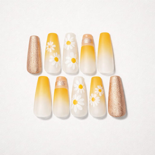 Daisy Sunshine